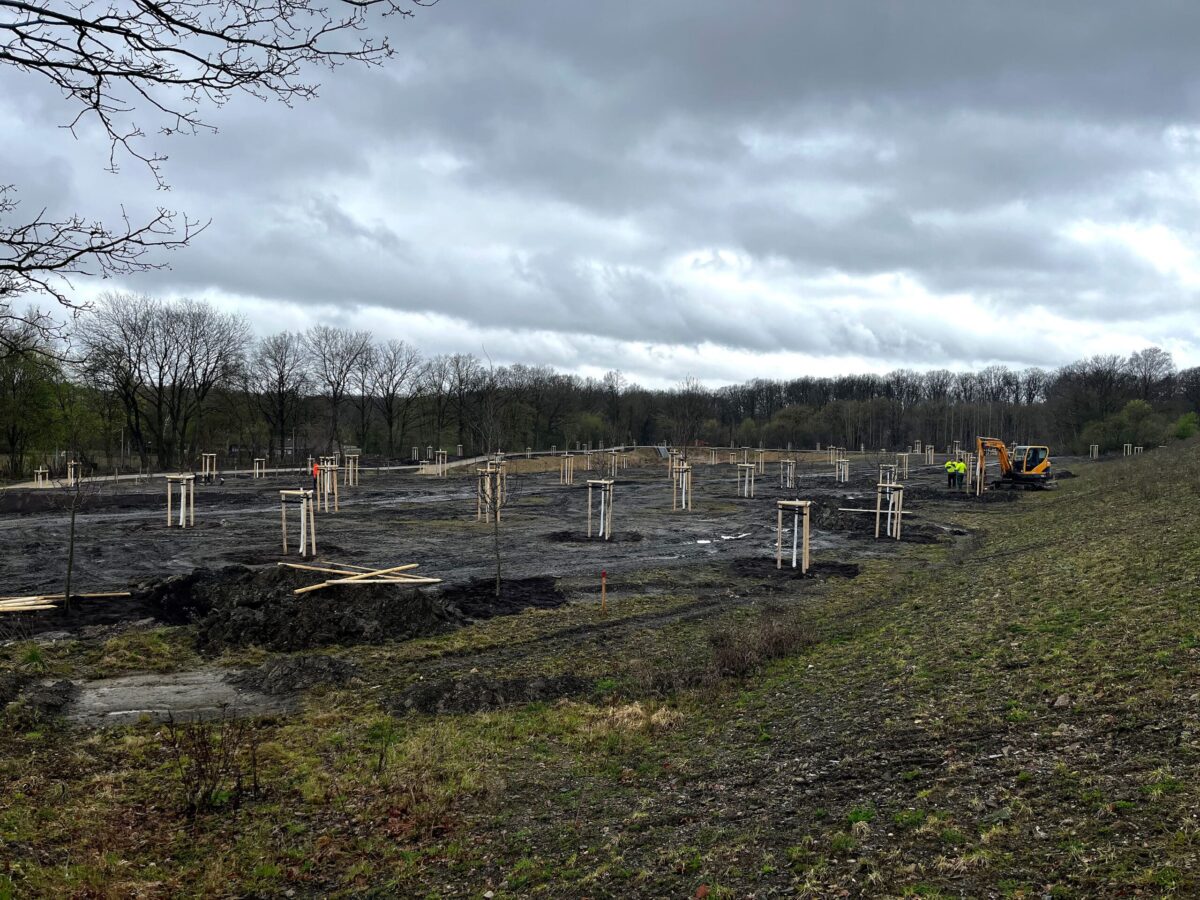 / Foto: Haarmann Stiftung Umwelt und Natur