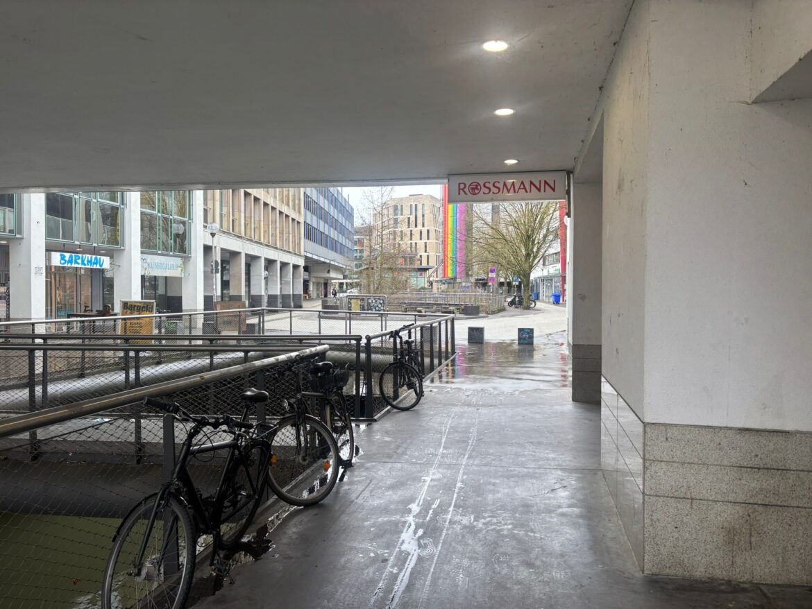 Öwer de Hase in Osnabrück. / Foto: Lilli Würdemann