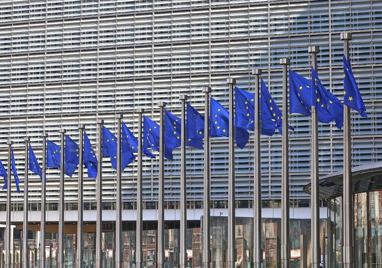 EU-Fahnen (Archiv)