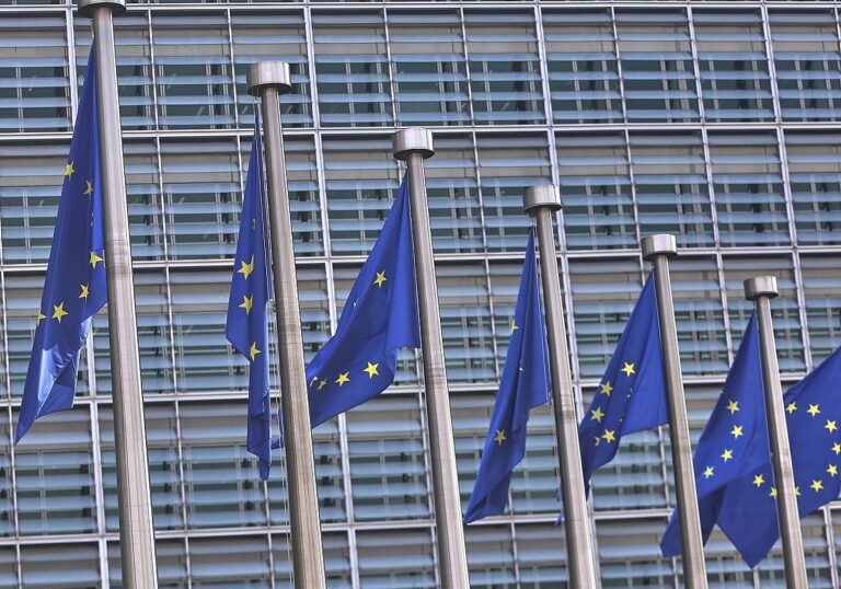 EU-Fahnen (Archiv)
