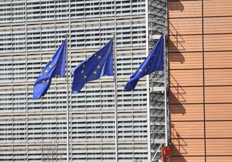 EU-Fahnen (Archiv)
