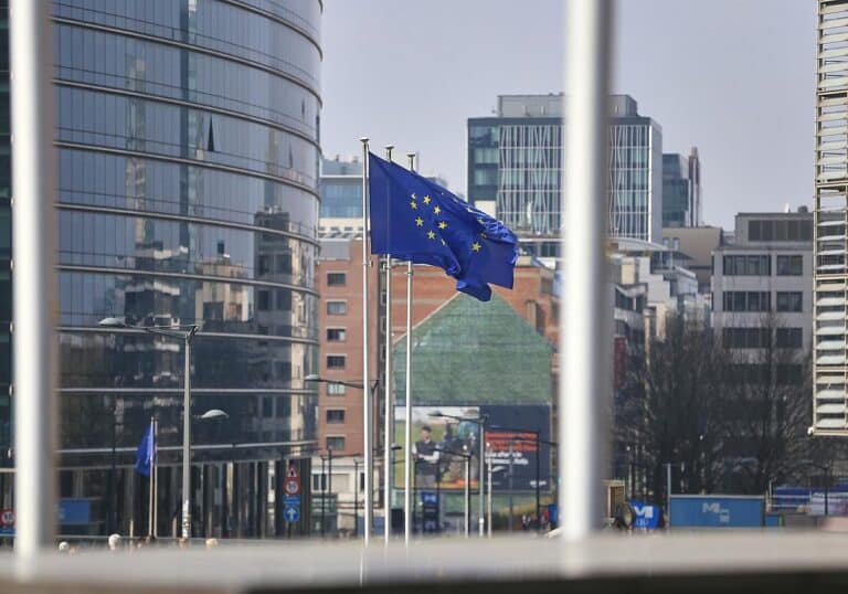 EU-Fahnen (Archiv)