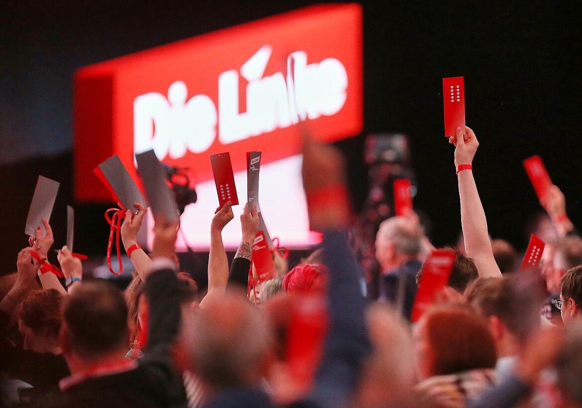 Linken-Parteitag (Archiv)