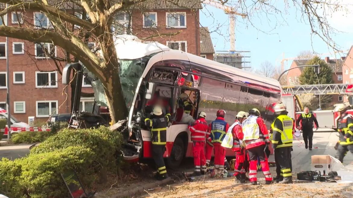 Schwerer Busunfall in Hamburg: 16 Verletzte