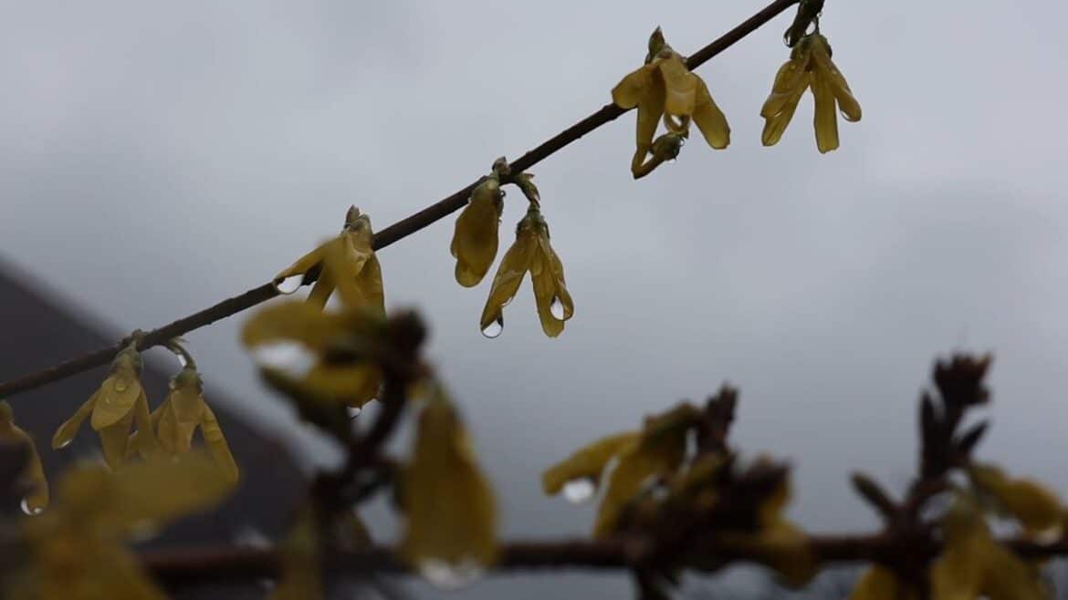 Nasskaltes Osterwetter mit Schnee und Frost erwartet