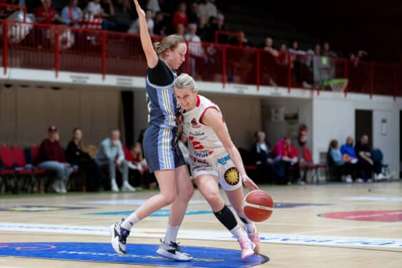GiroLive Panthers vs. Alba Berlin / Foto: Alexander Reinhard in Osnabrück (Gesamtstadt)