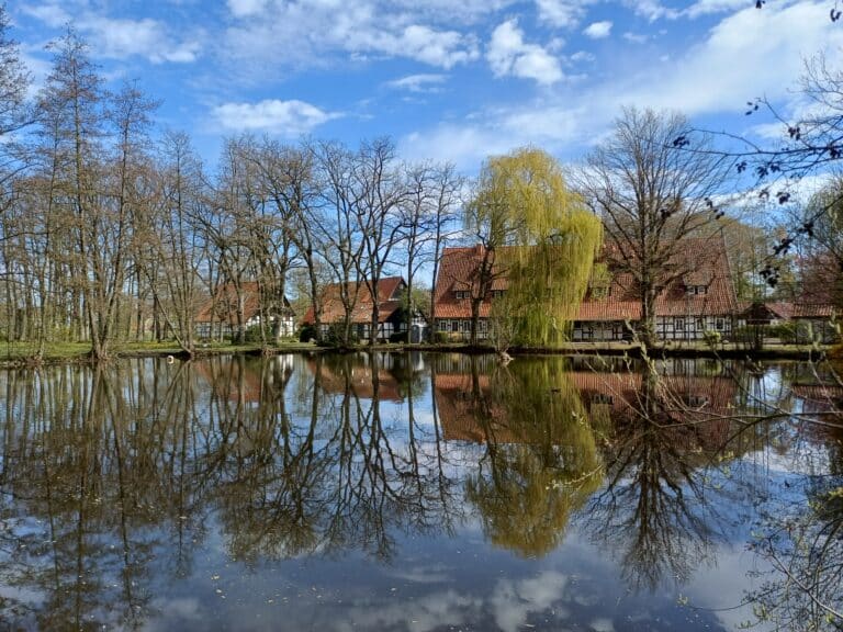 Wird abgefischt: Der Schwanenteich im Grönenbergpark in Melle-Mitte. / Foto: Stadt Melle