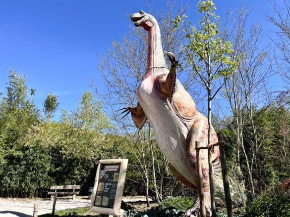 Dinoversum in Zoo