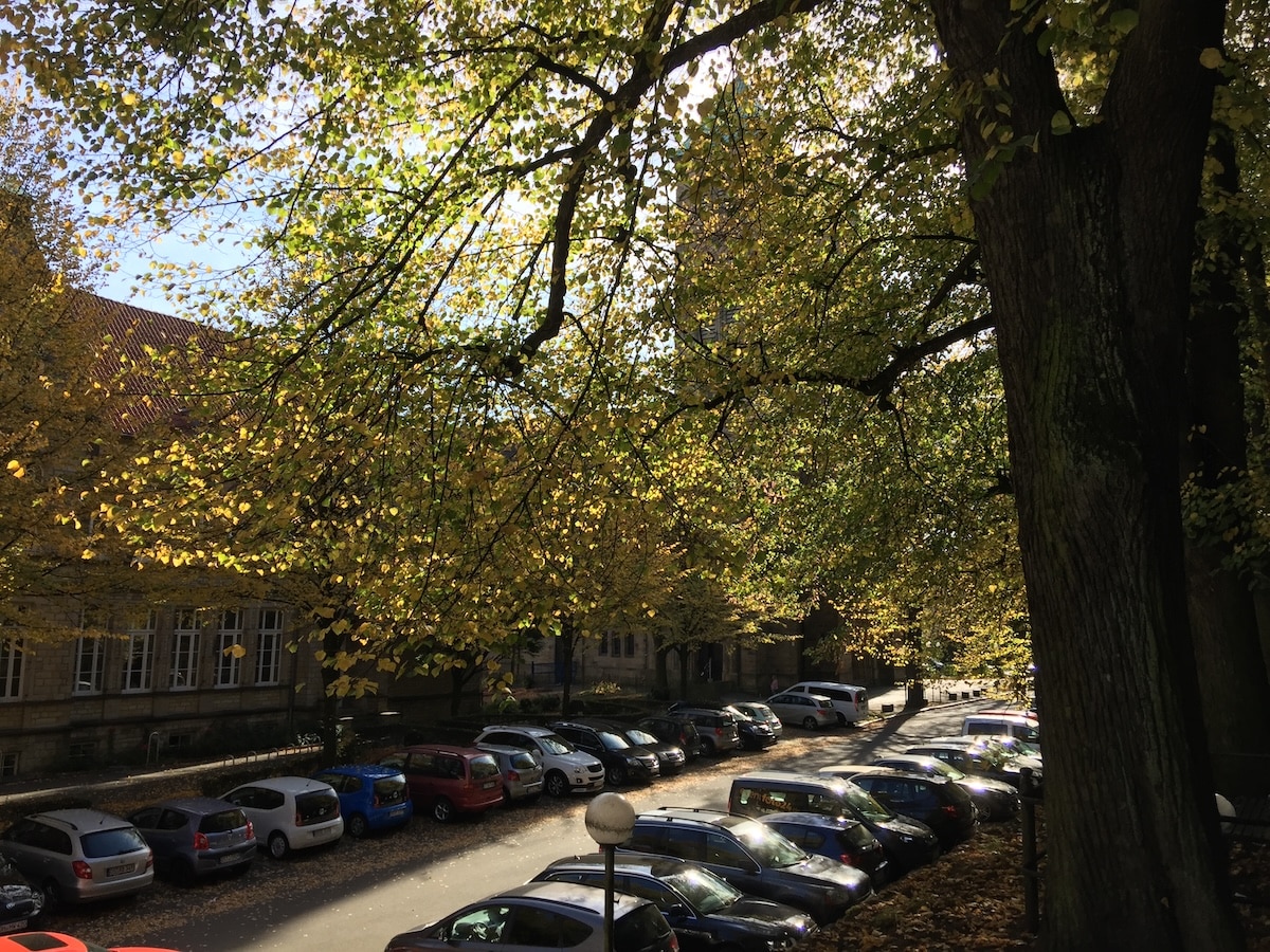 Am Herrenteichswall darf (noch) oberirdisch geparkt werden