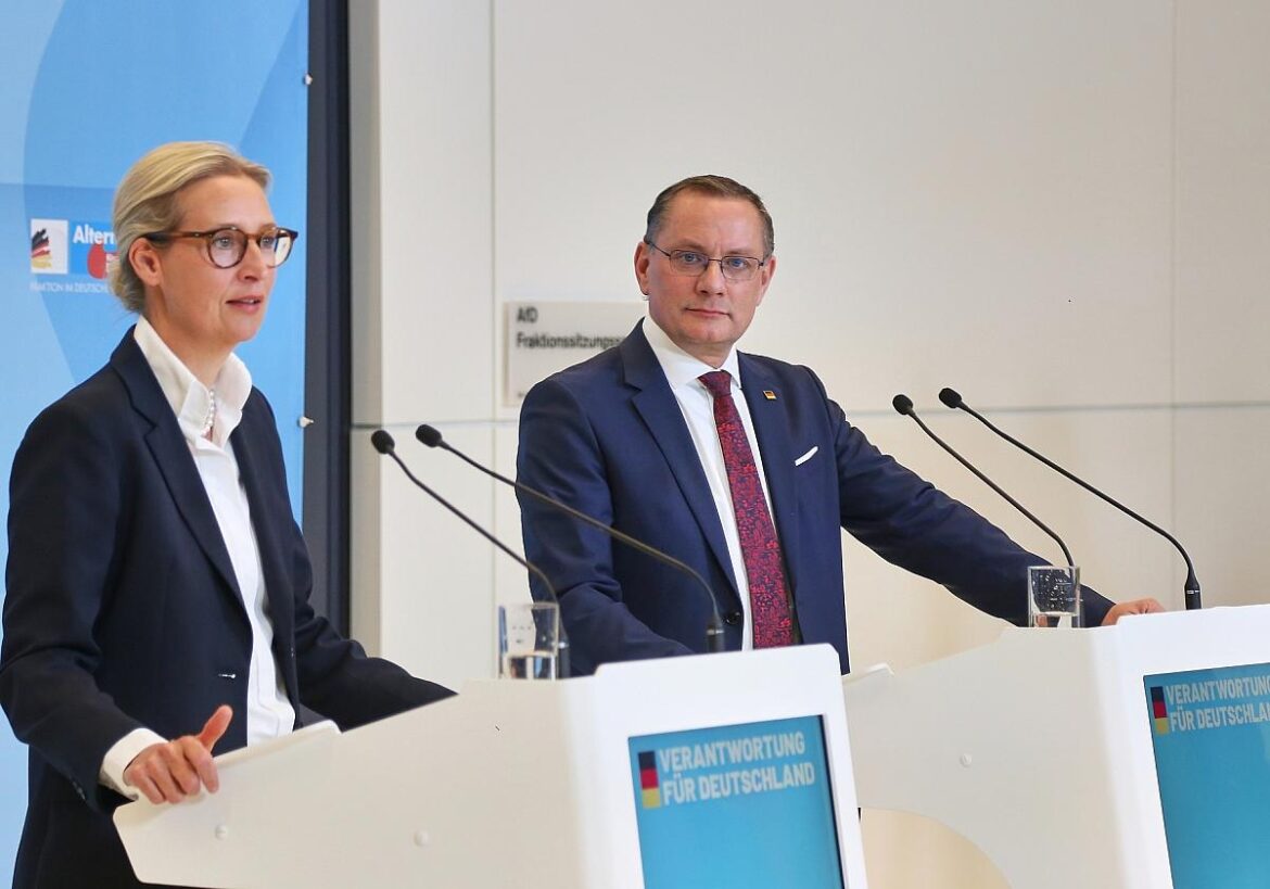 Alice Weidel