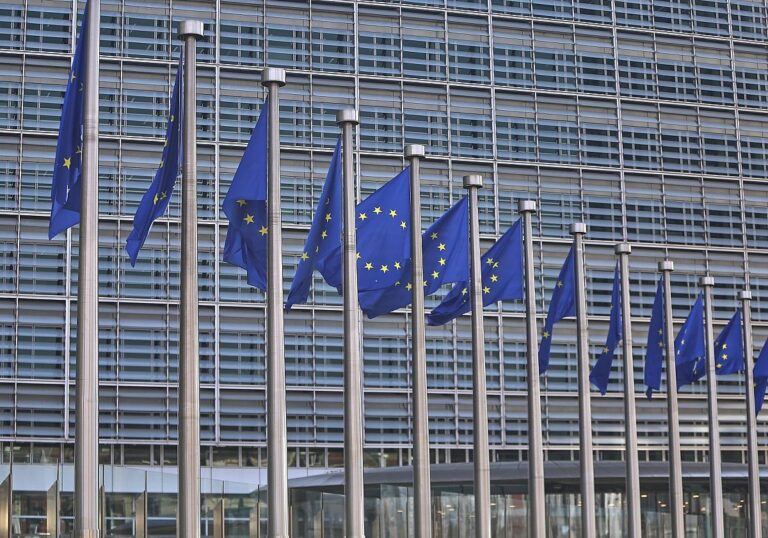 EU-Fahnen (Archiv)
