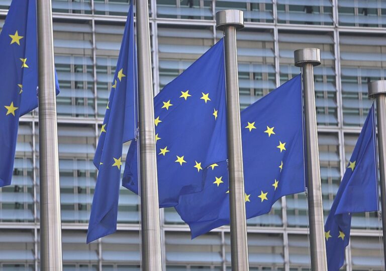 EU-Fahnen (Archiv)