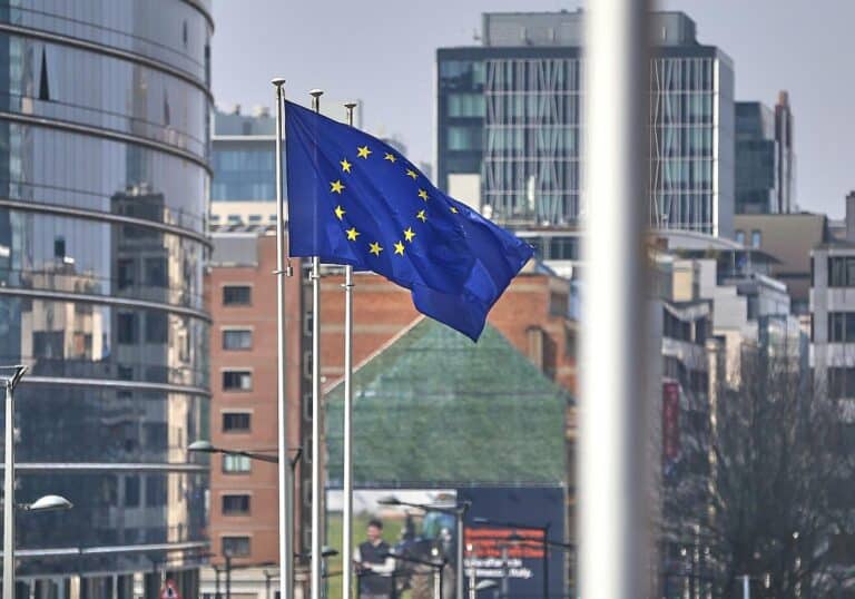 EU-Fahnen (Archiv)
