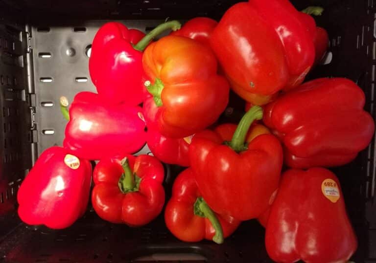 Paprika (Archiv)