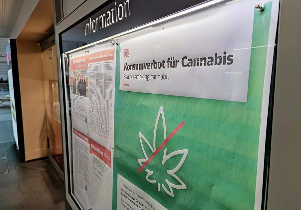 Cannabis-Verbot bei