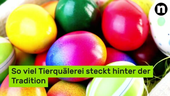 Ostern: Traditionen und Bräuche im Frühling