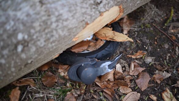 Tragisches Unglück: Drei Tote bei Ostereiersuche in Flensburg