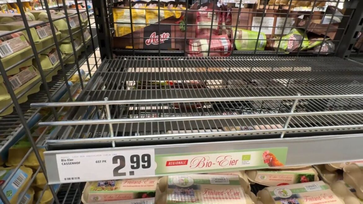 Ostereier-Knappheit: Supermärkte planen trotz Lieferengpässen