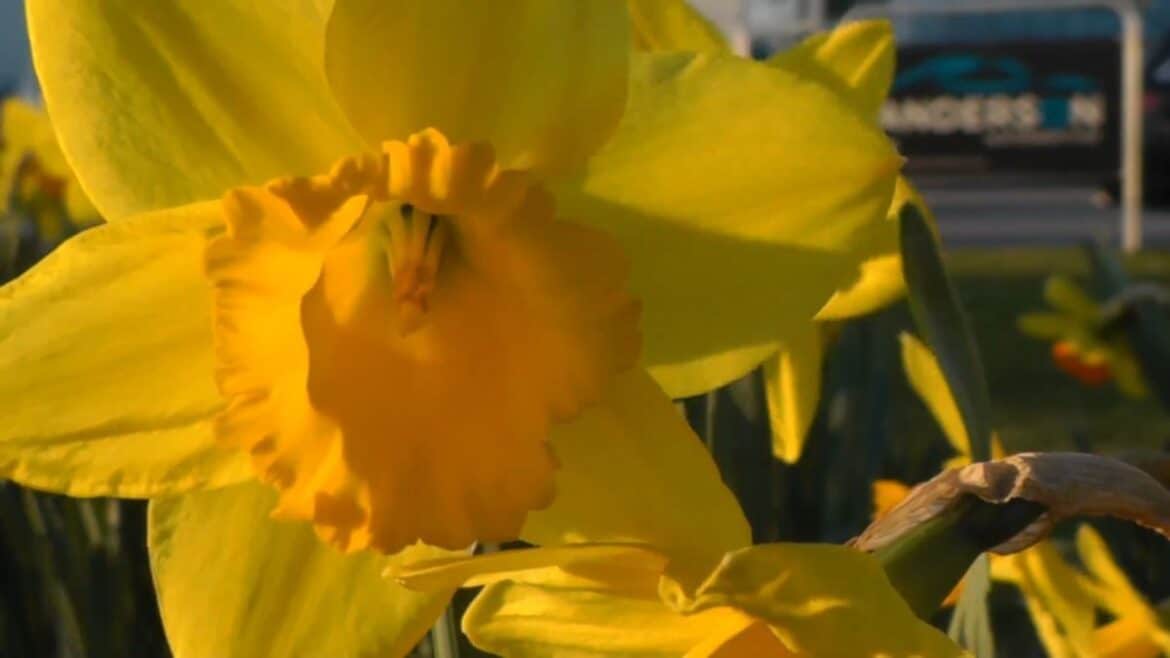 Ostern wird wechselhaft mit milden Temperaturen