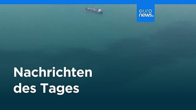 Buckelwal Timmy erneut gestrandet: Rettungsaktion unterbrochen