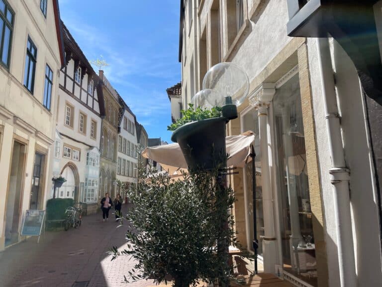 Neue Blumenkübel an den Laternen in der Heger Straße. / Foto: Dominik Lapp in Innenstadt
