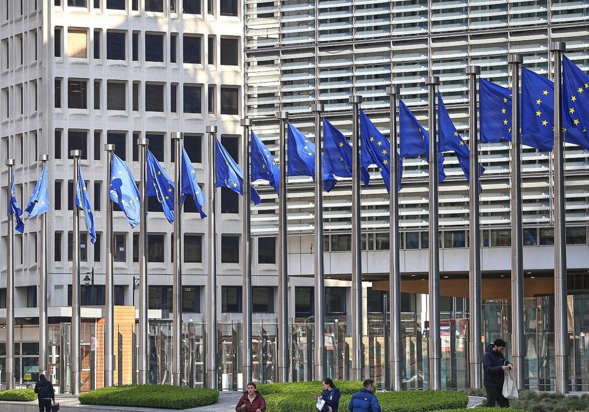 EU-Fahnen (Archiv)