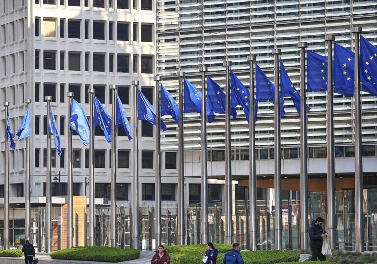EU-Fahnen (Archiv)