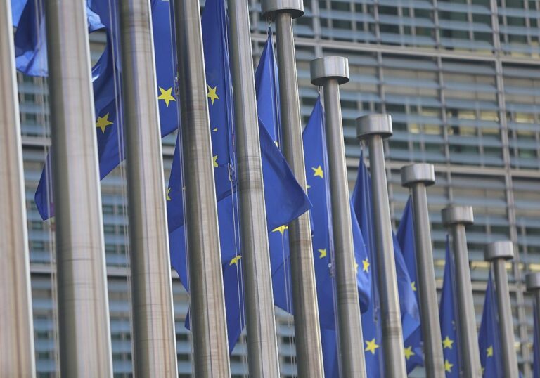 EU-Fahnen (Archiv)
