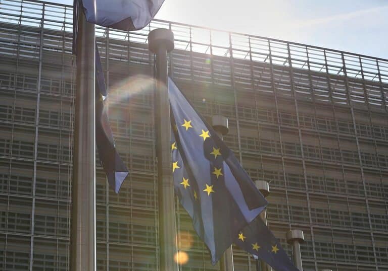 EU-Fahnen (Archiv)