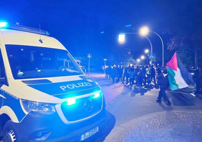 Linke Demo