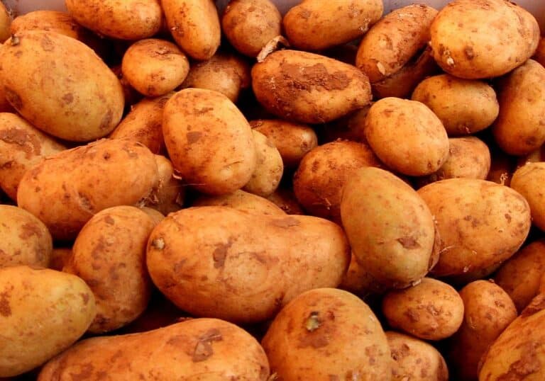 Kartoffeln (Archiv)