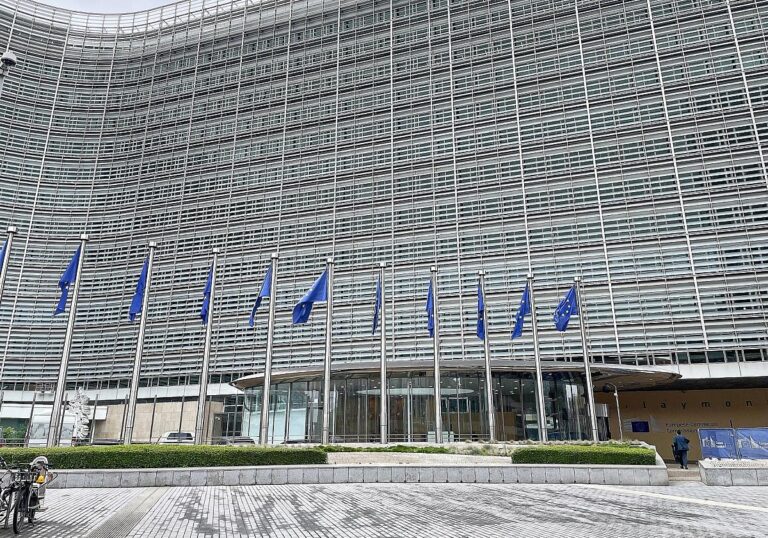 EU-Fahnen (Archiv)