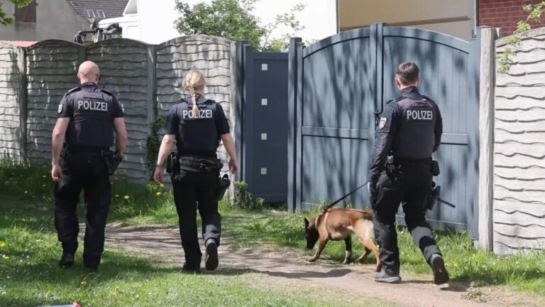 Polizei sucht nach gestohlenem Keltengold in Mecklenburg-Vorpommern