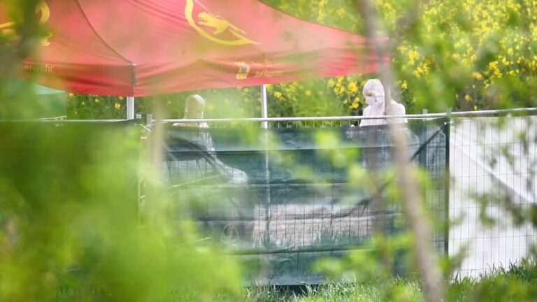 Frauenleiche in Auto bei Bad Rappenau entdeckt