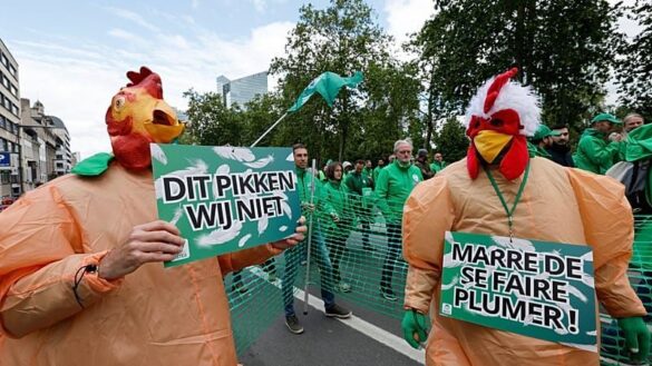 Generalstreik legt Belgien lahm: Zehntausende protestieren