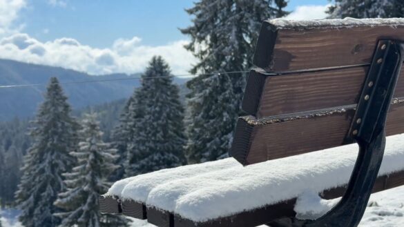 Eisheilige bringen Schnee und Kälte nach Deutschland