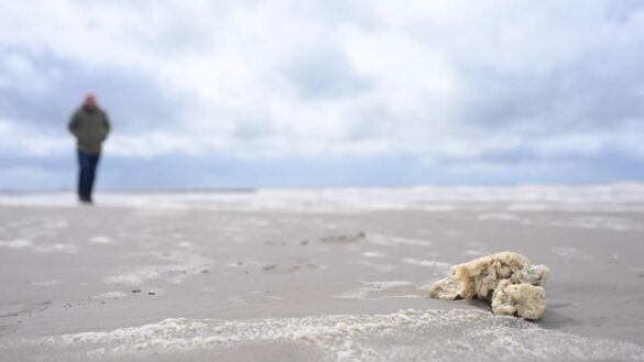 Weiße Klumpen an Nordsee-Stränden: Paraffin-Verdacht