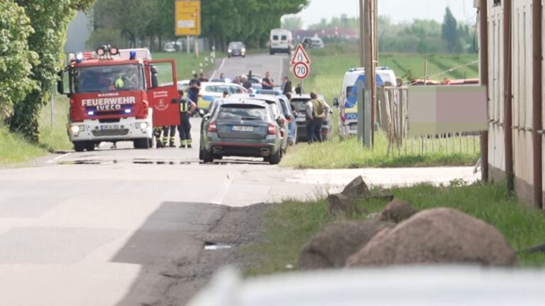 Tiger-Ausbruch in Schkeuditz: Helfer verletzt, Tier erschossen