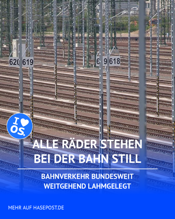 der Wochenmarkt im Sommer