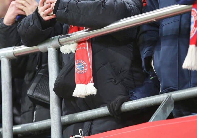 Bayern-Fans (Archiv)