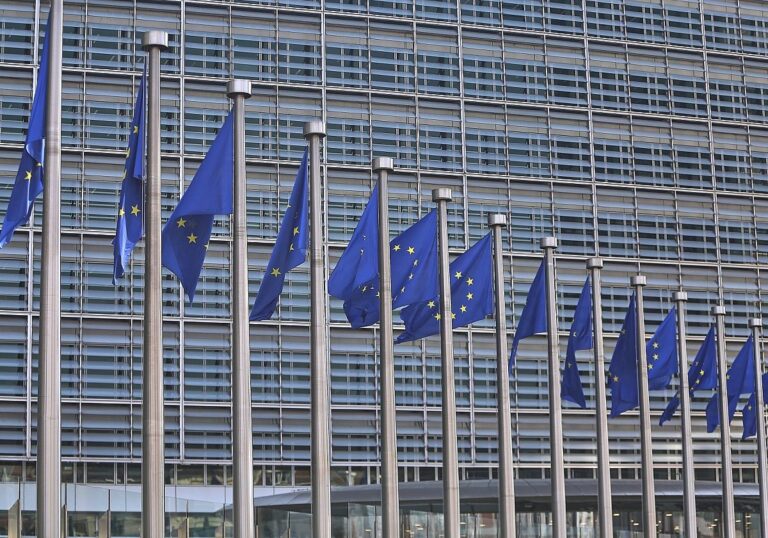 EU-Fahnen (Archiv)