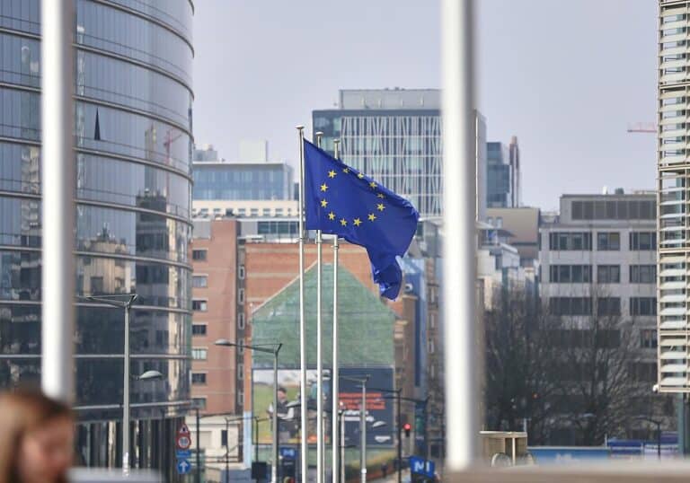 EU-Fahnen (Archiv)