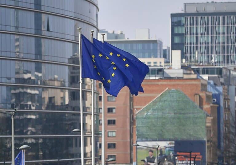 EU-Fahnen (Archiv)