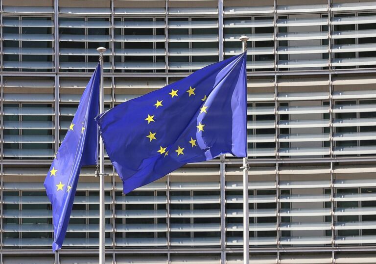 EU-Fahnen (Archiv)