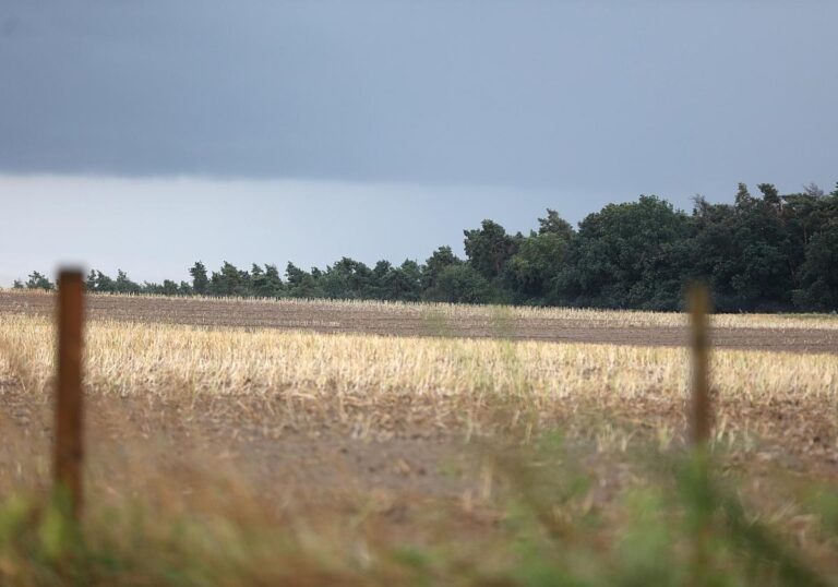Unwetter (Archiv)