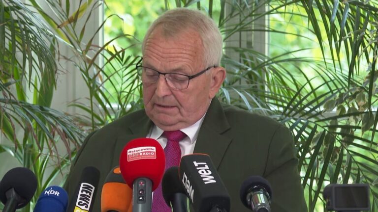 Buckelwal „Timmy“ lebte nach Freisetzung nur fünf Tage