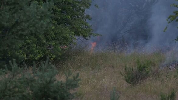 Großbrand bei Neustrelitz: 100 Hektar Wald in Flammen