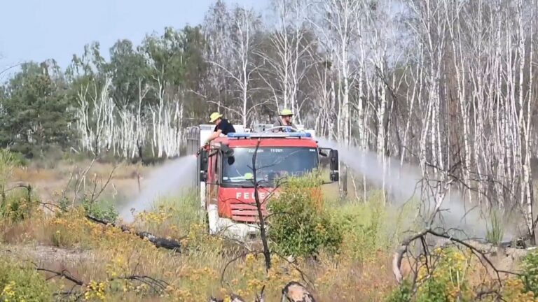 Waldbrand in Gohrischheide: Einsatzkräfte kämpfen gegen Hitze