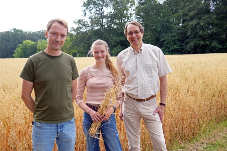 Prof. Dr. Diemo Daum, Anne Vrochte und Dr. Christoph Budke (v.r.) erforschen, wie sich der Jodgehalt von Hafer bereits beim Anbau erhöhen lässt. in Osnabrück (Gesamtstadt)