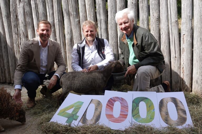 Von links: Philipp Bruelheide (Zoogeschäftsführer), Tobias Klumpe (Zoologischer Direktor) sowie Antonius Fahnemann (Vorstandsvorsitzender der Haarmann-Stiftung Natur und Umwelt) begrüßten gemeinsam die Ouessantschafe auf der ehemaligen Anlage der Kleinen Kudus, auf der sie übergangsweise leben. / Foto: Hanna Räckers in Schölerberg
